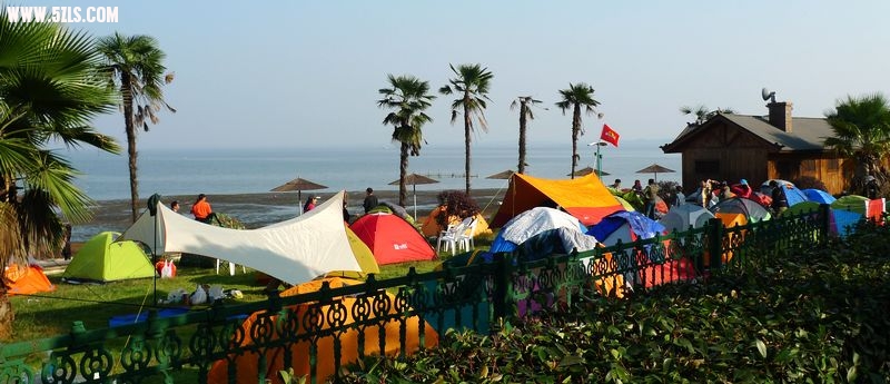 P1000801.jpg