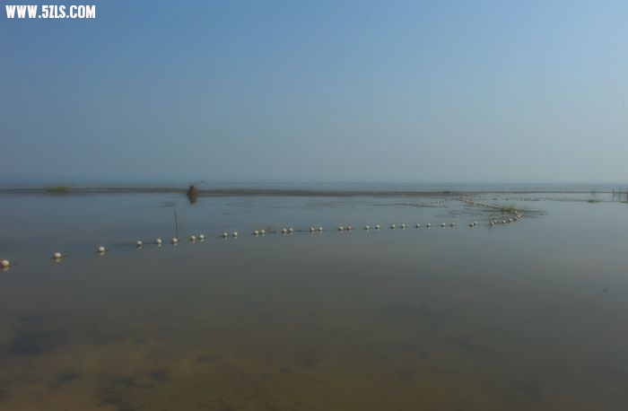 2010 322.jpg