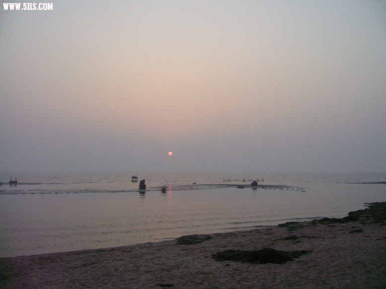 IMG_0494_1.JPG