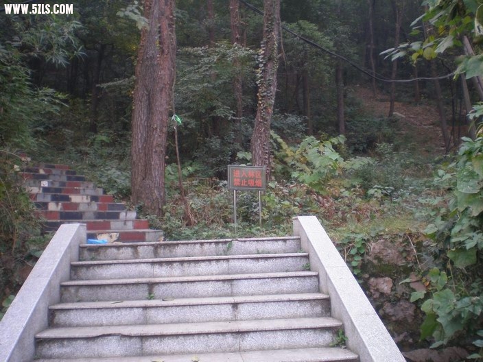 PB070194.JPG
