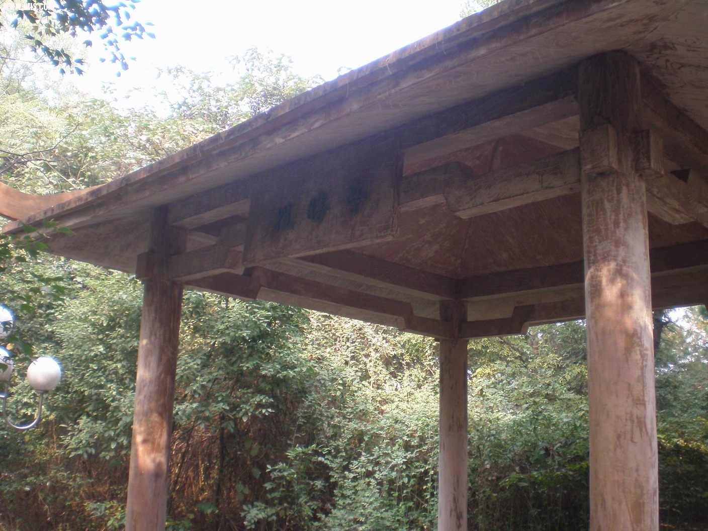 PB070199.JPG