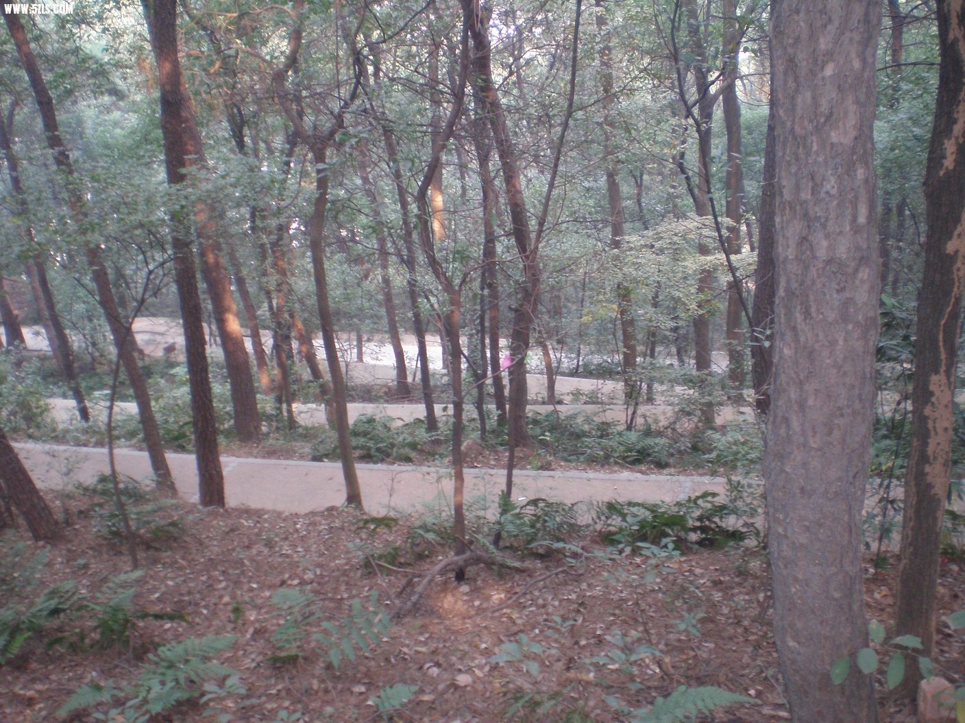 PB070198.JPG