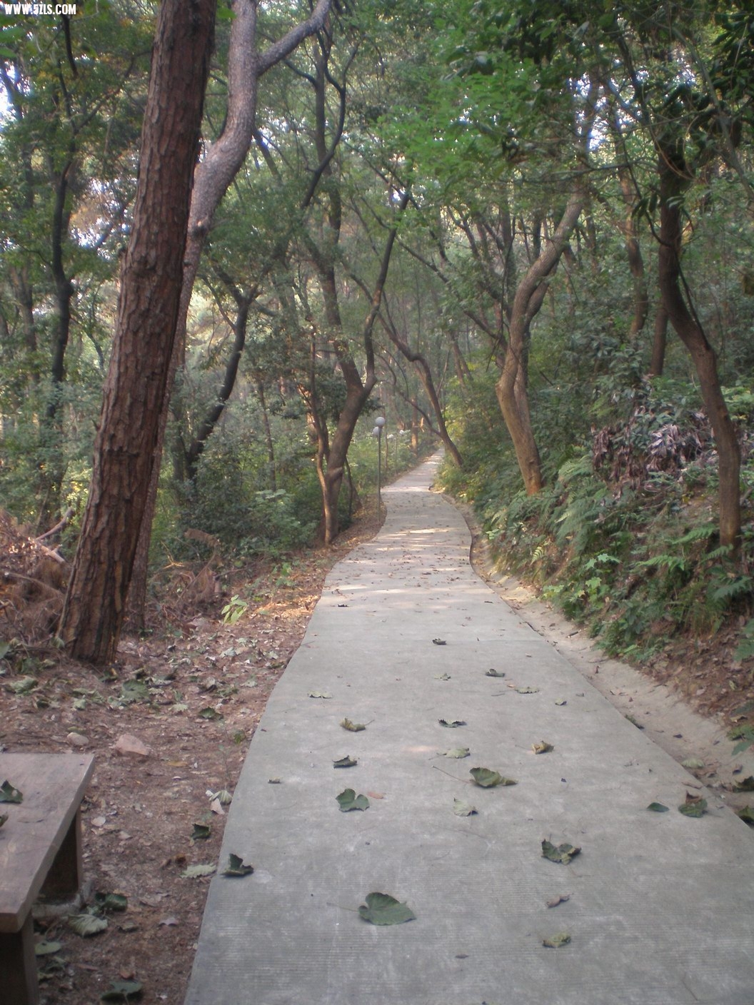 PB070201.JPG