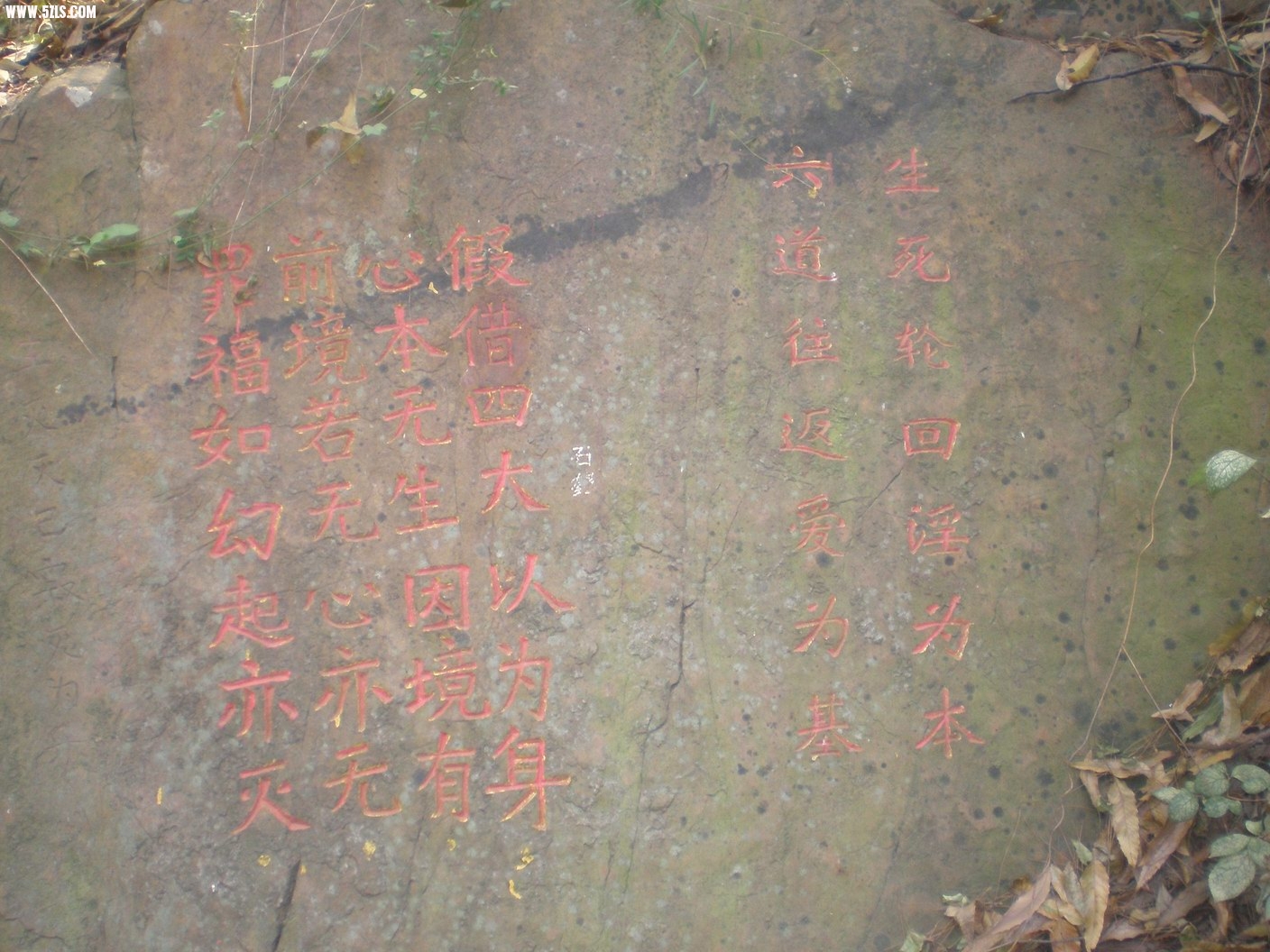 PB070207.JPG