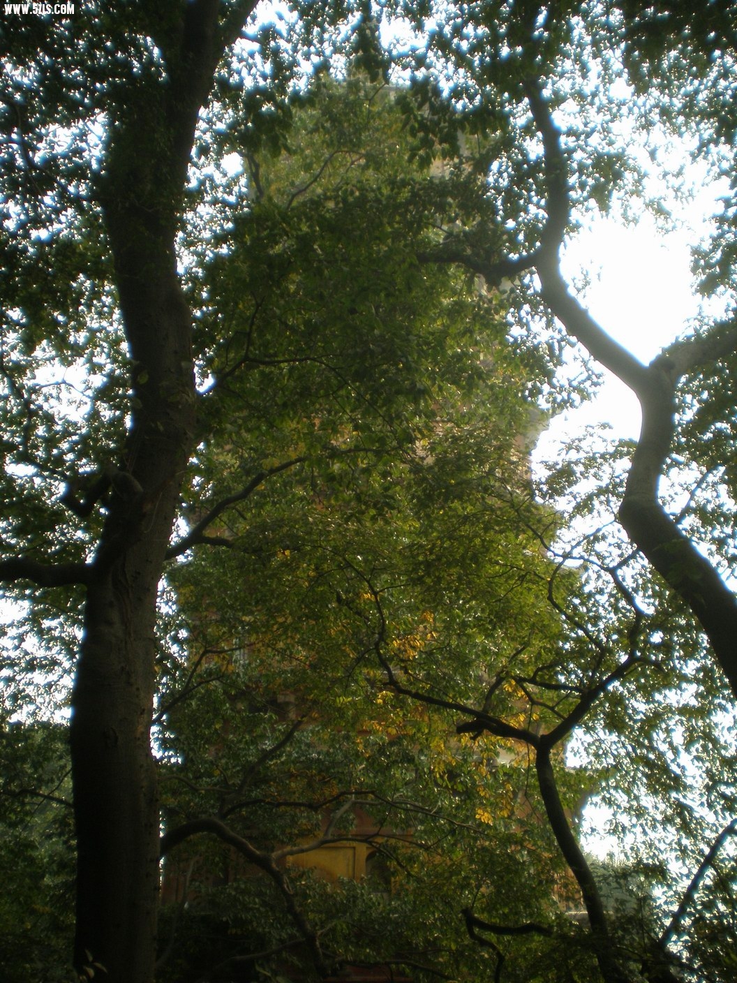 PB070209.JPG