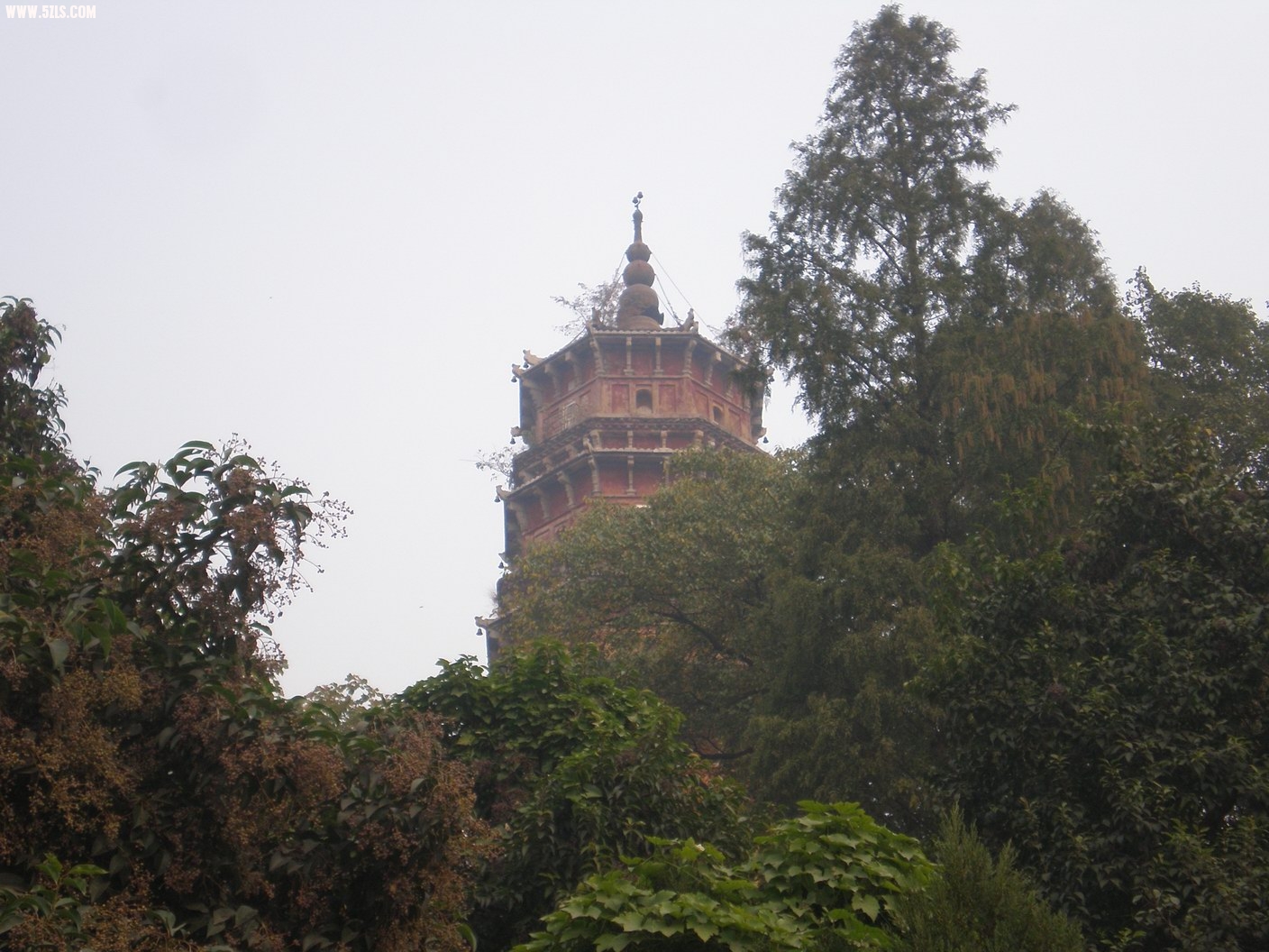 PB070216.JPG
