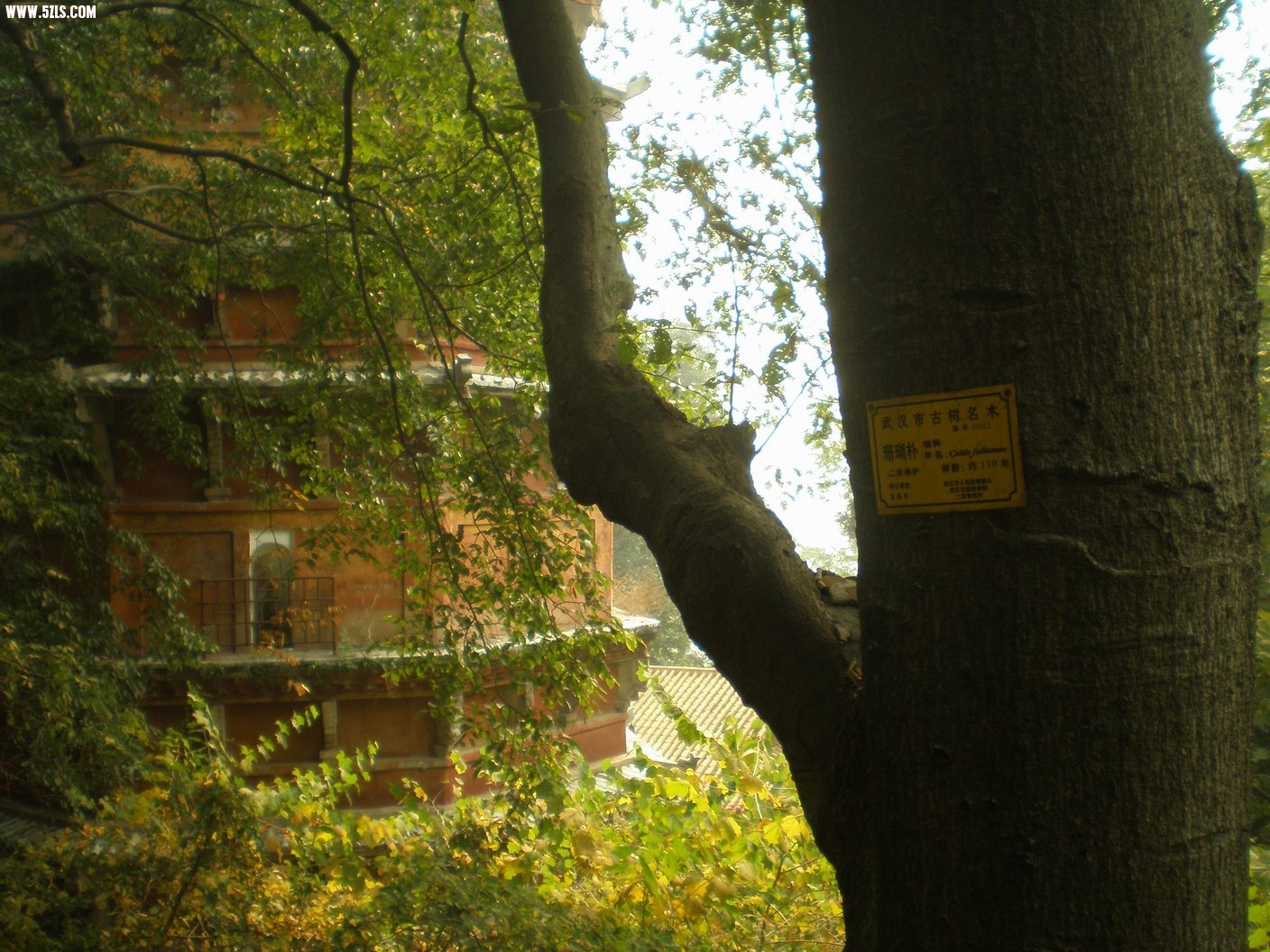 PB070210.JPG