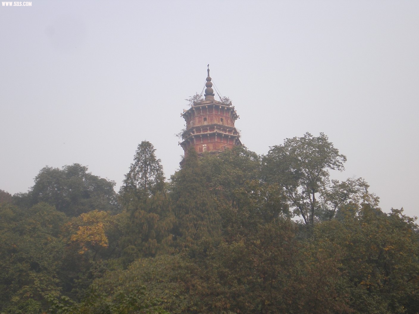 PB070217.JPG