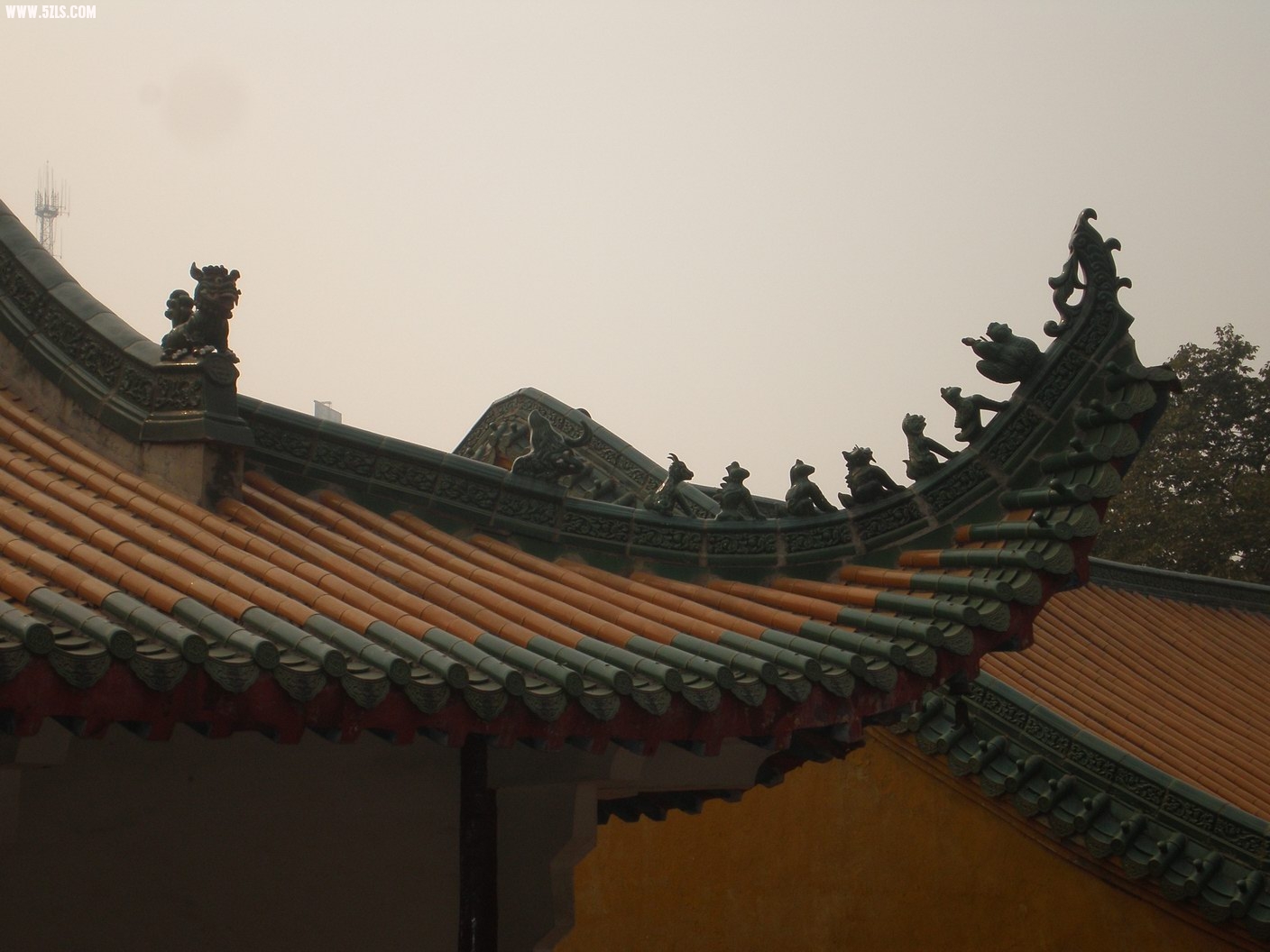 PB070225.JPG