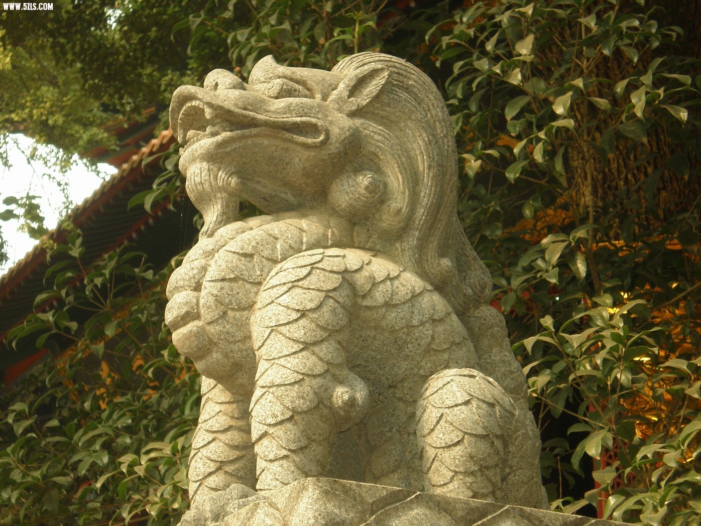 PB070228.JPG