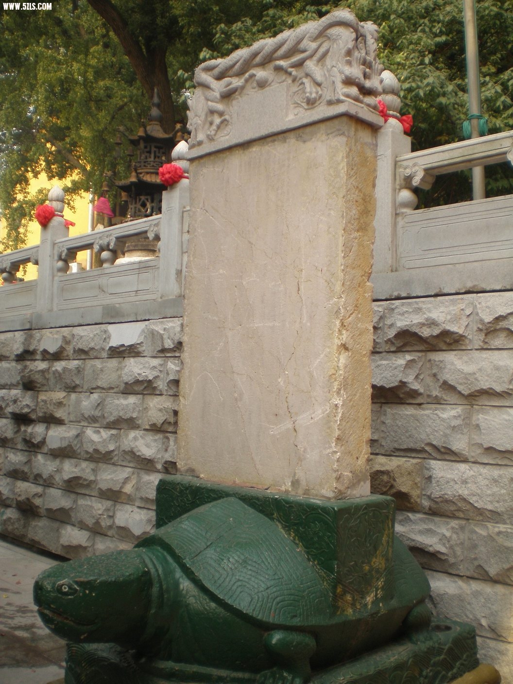 PB070229.JPG