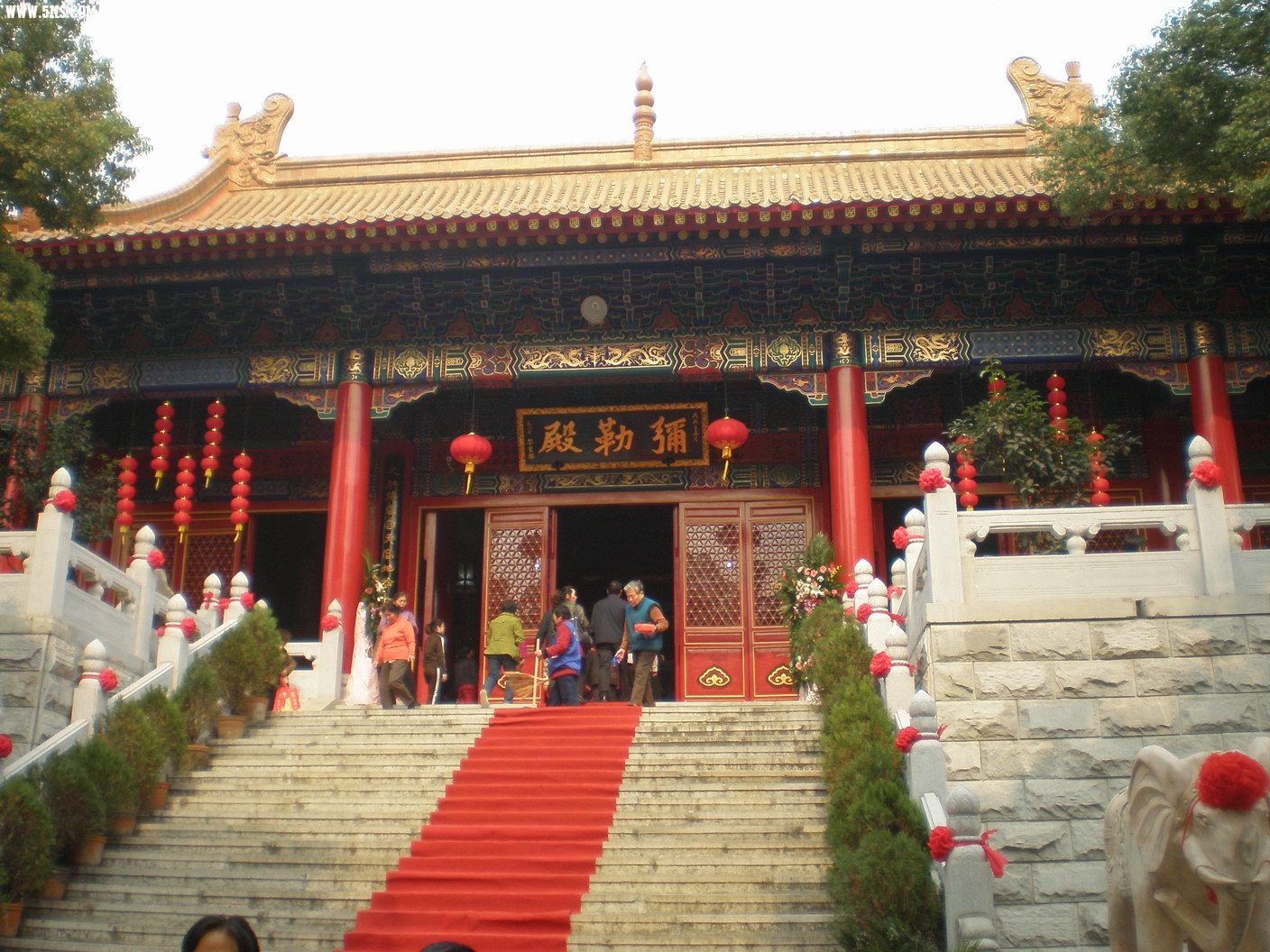 PB070231.JPG
