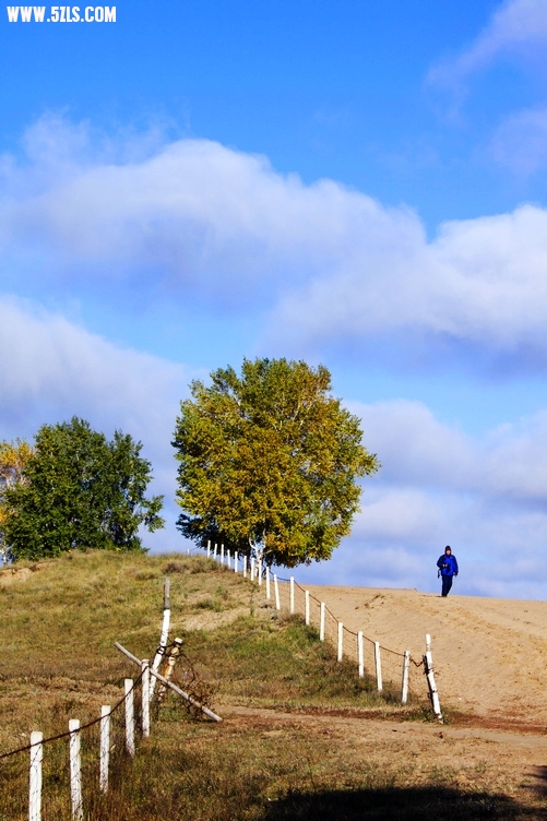 _MG_6434.jpg