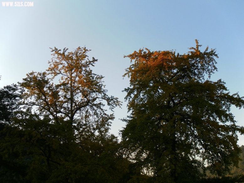 SAM_1065_1.JPG