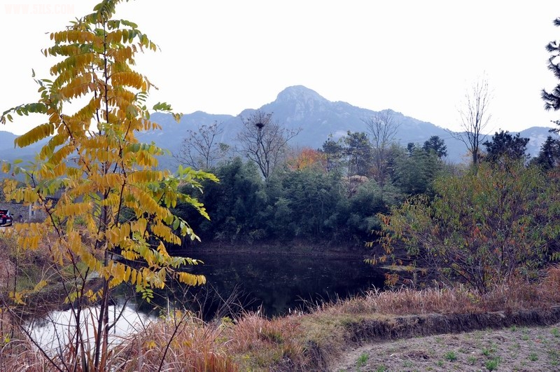 С DSC_0395.JPG