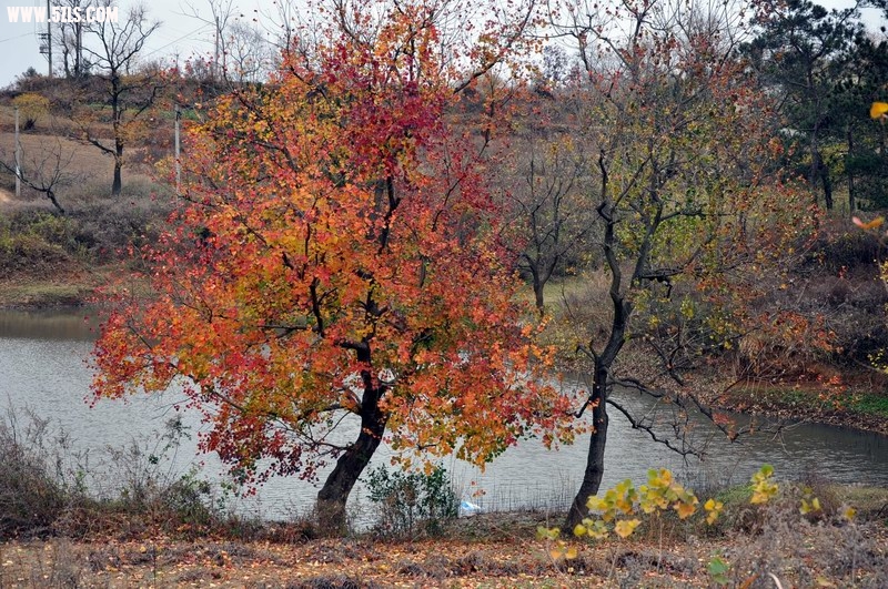 С DSC_0592.JPG