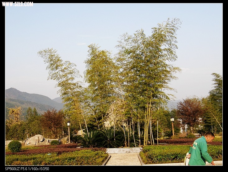 nEO_IMG_PB130077.jpg