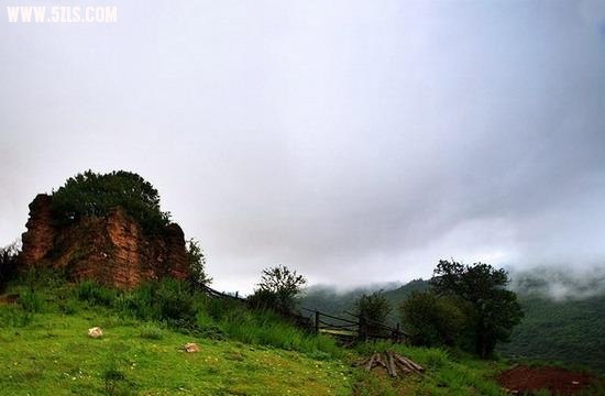1J2391J2-8.jpg