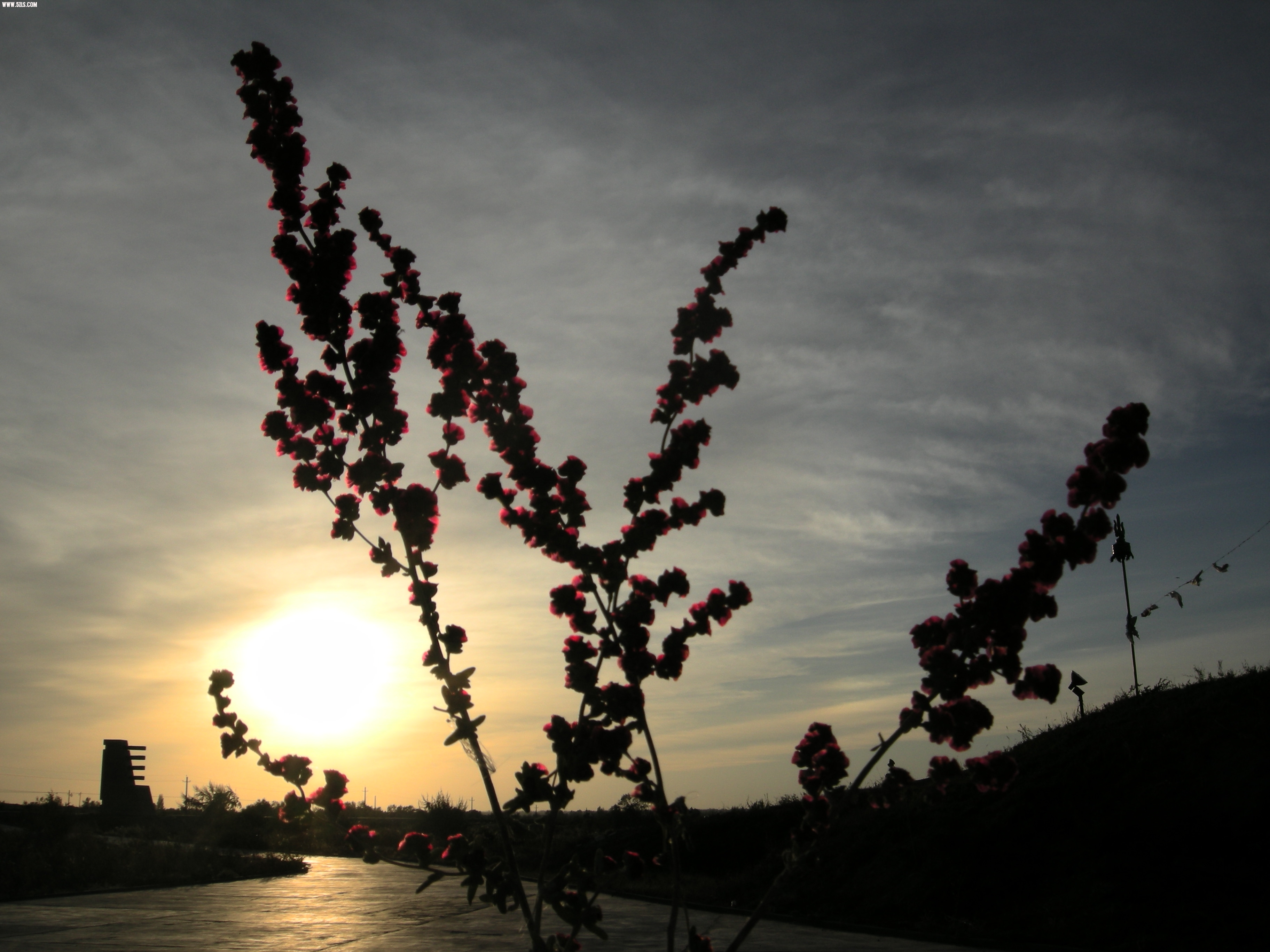 DSCN5953.JPG