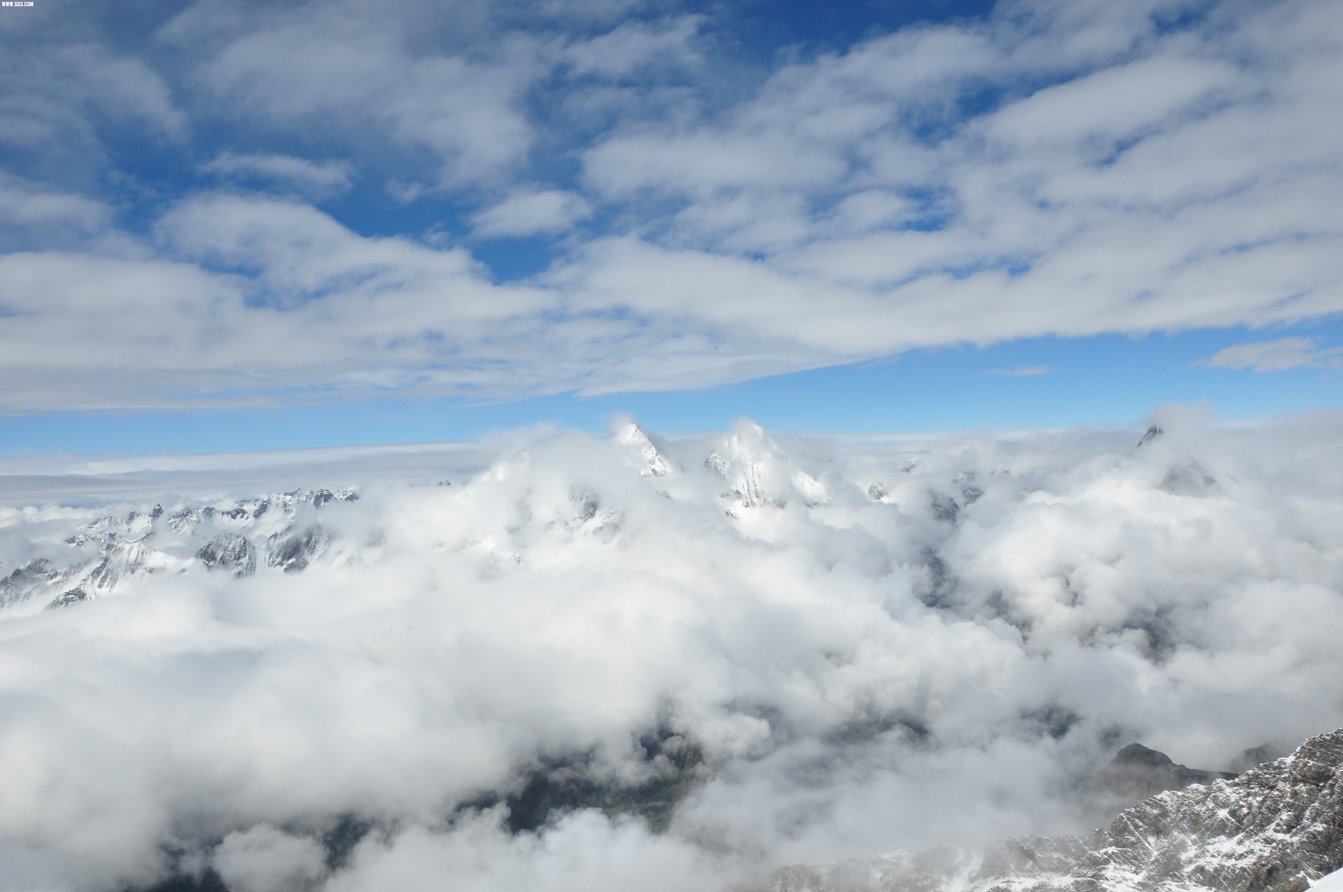 DSC_0522.JPG