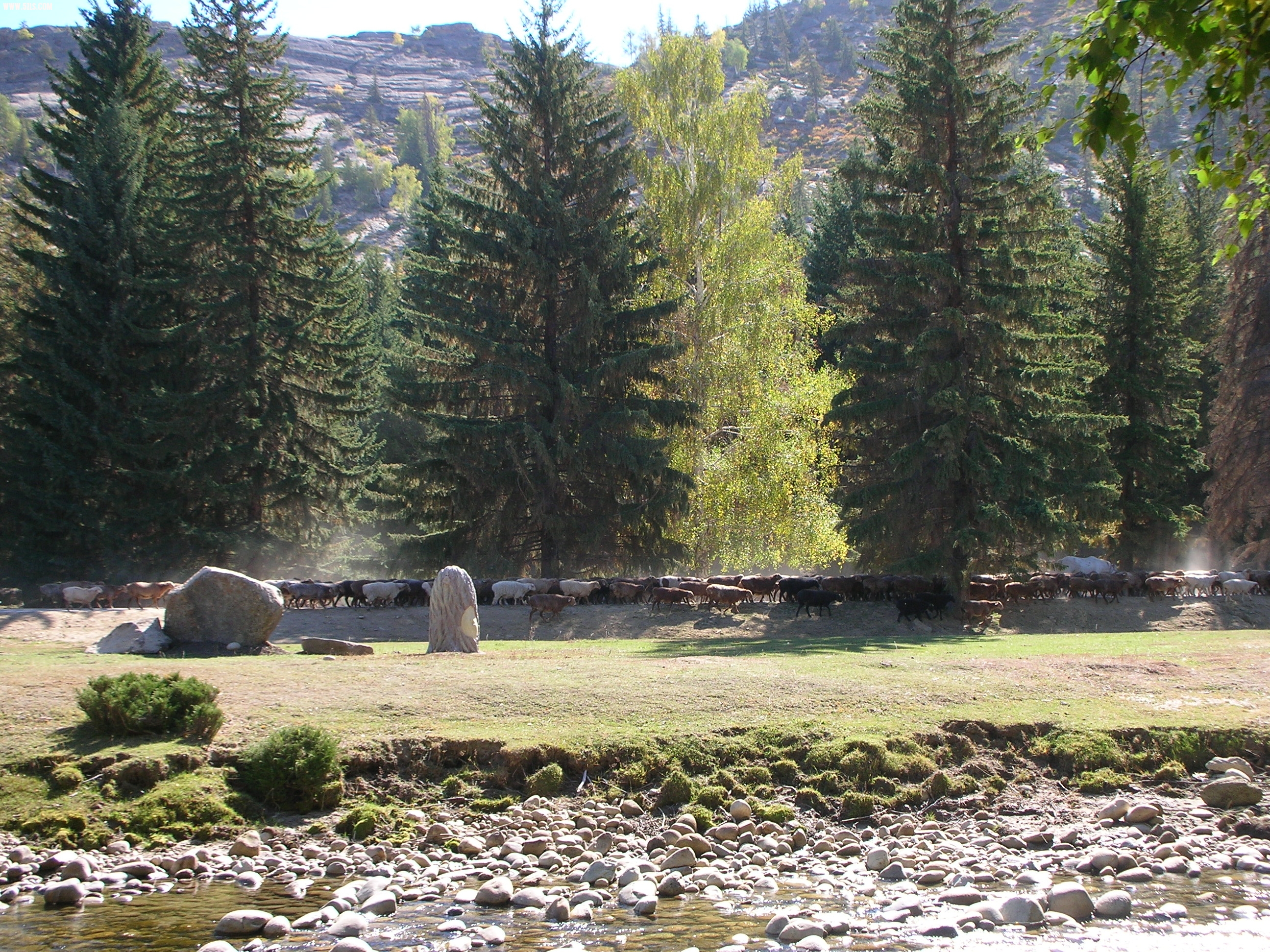 DSCN8486.JPG