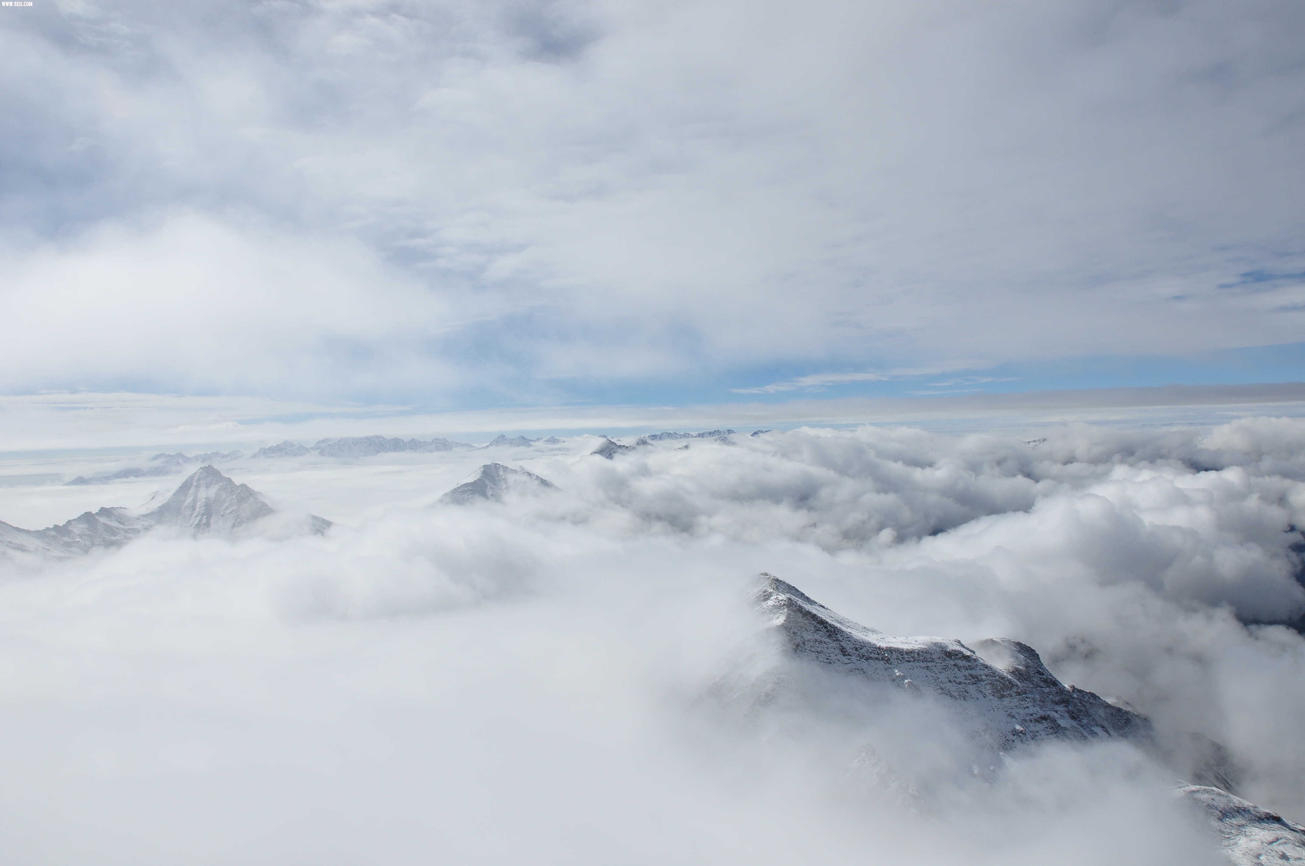 DSC_0523.JPG