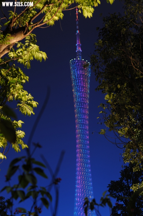 DSC_7278.jpg