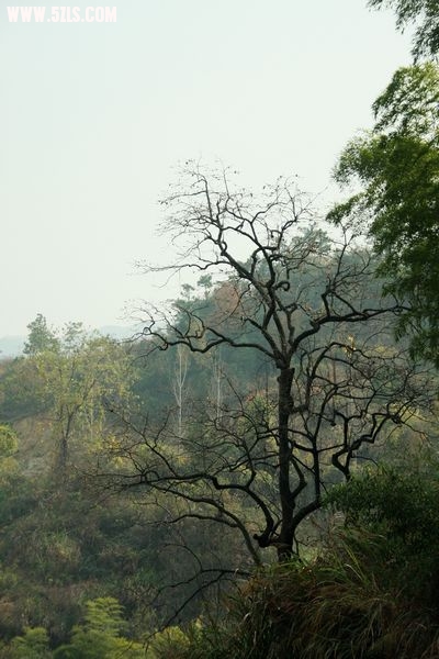 IMG_2839.JPG