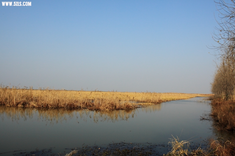 DPP_0010.JPG