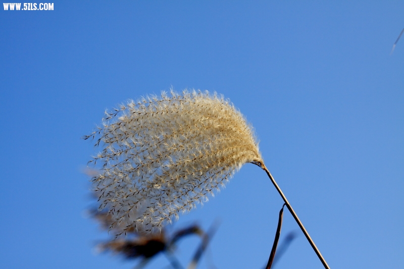 DPP_0009.JPG