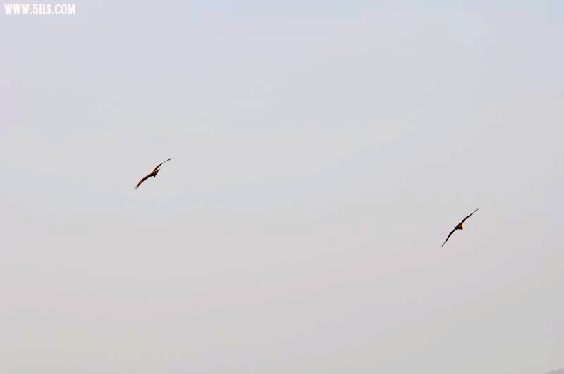 Ƭ 206.jpg