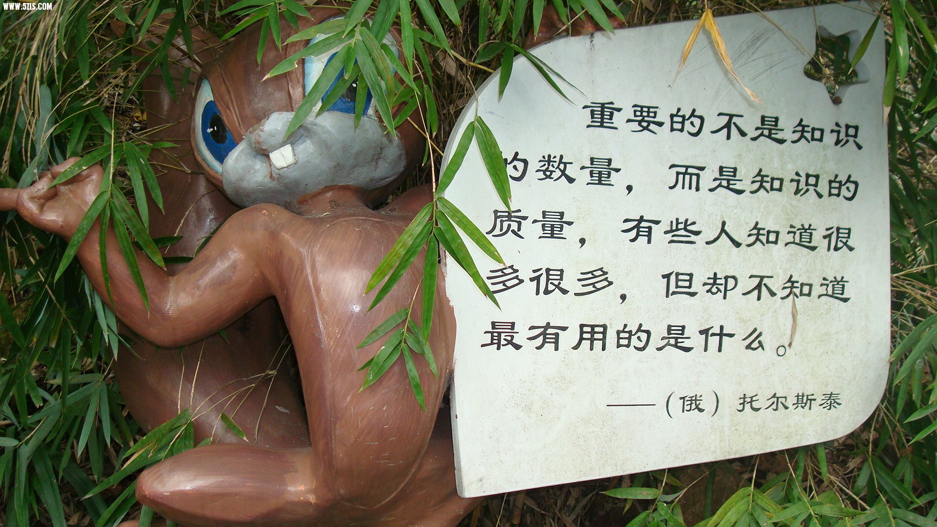 DSC07119.JPG