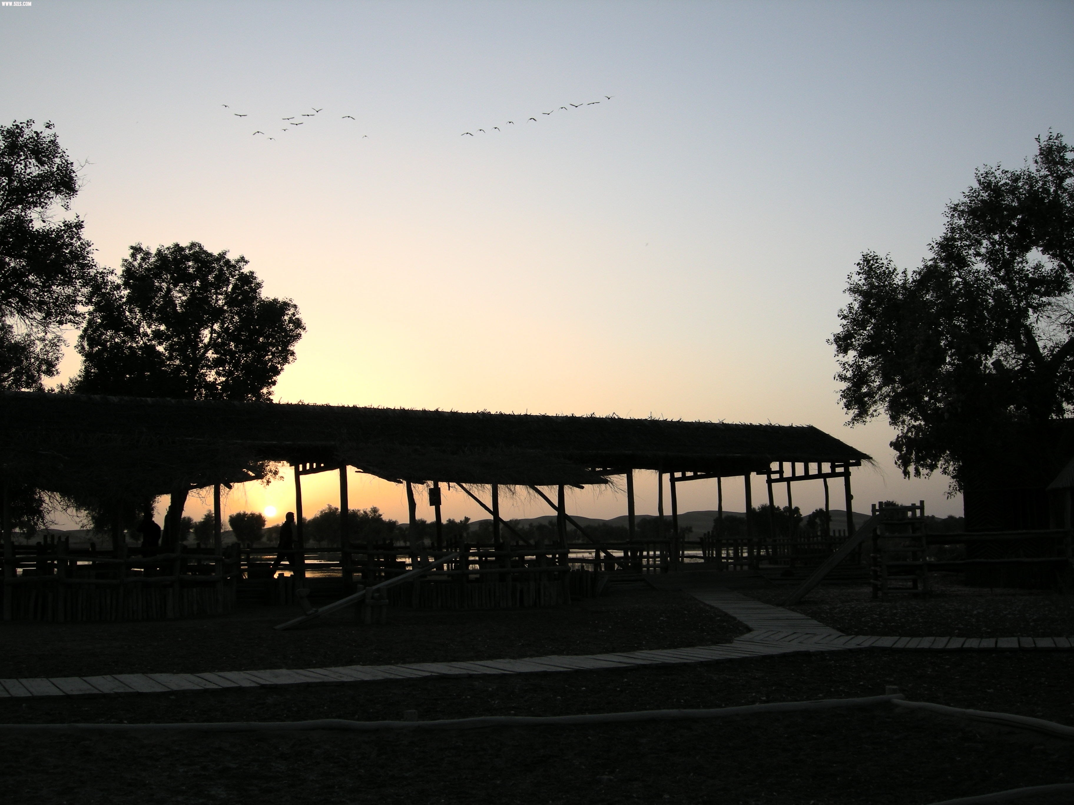 DSCN7532.JPG