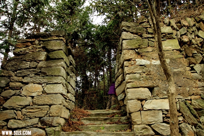 S0033.JPG