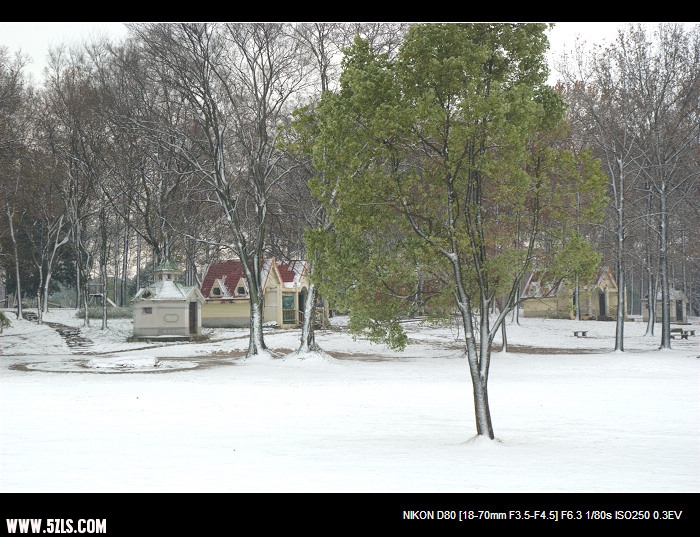 DSC_0203.jpg