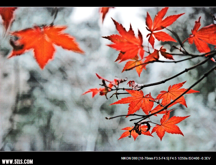 DSC_0112.jpg
