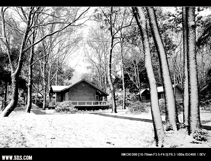 DSC_0157a.jpg