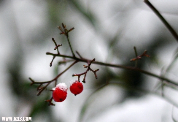 Ƭ 017.jpg