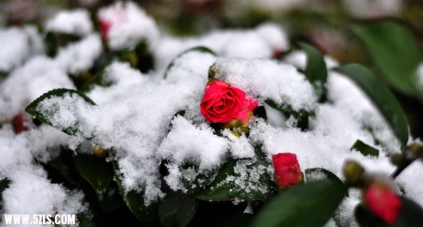 Ƭ 049.jpg