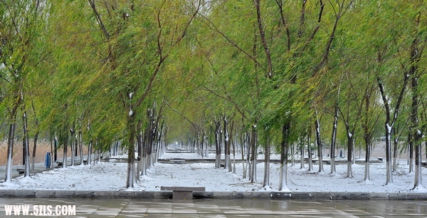 Ƭ 024.jpg