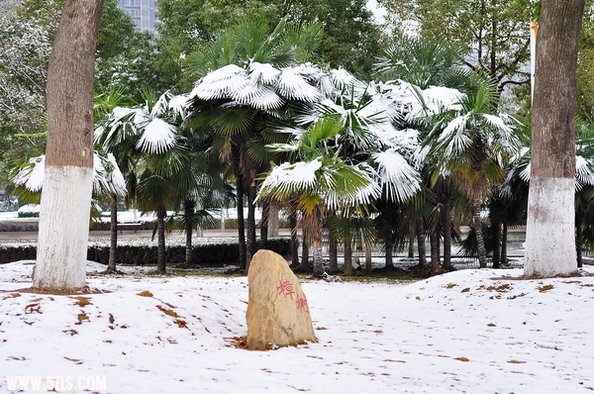 Ƭ 029.jpg
