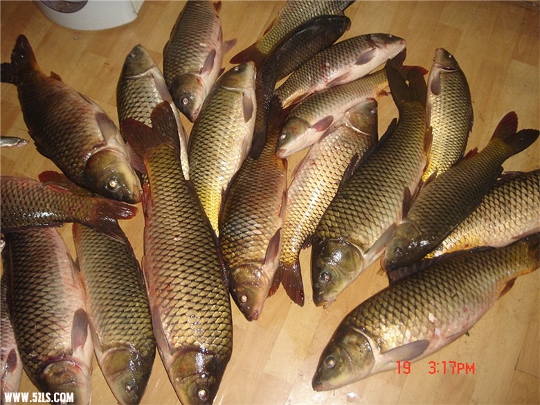dsc00007_.jpg
