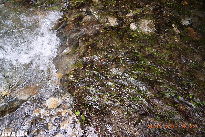 nEO_IMG_R0035883.jpg