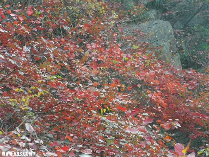 FILE0193.JPG