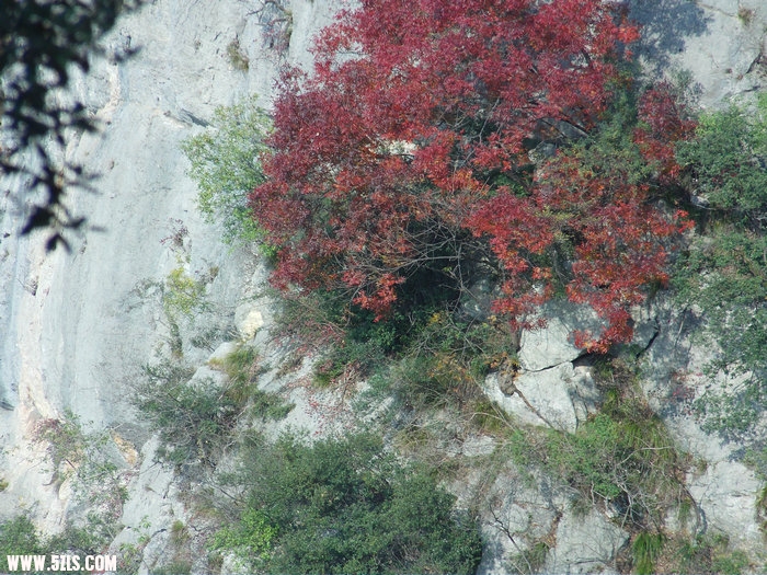 FILE0207.JPG