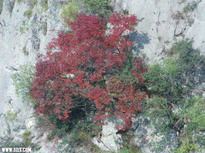 FILE0208.JPG