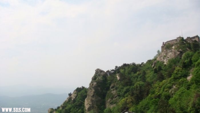 71.JPG