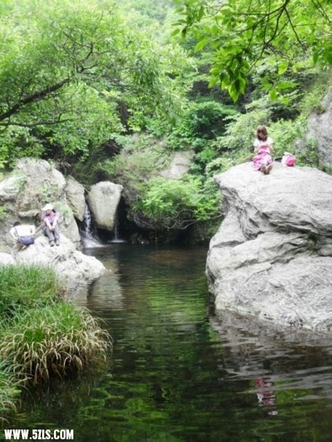 201005152658.JPG