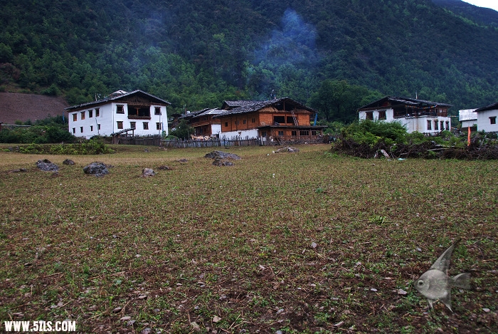 95.jpg