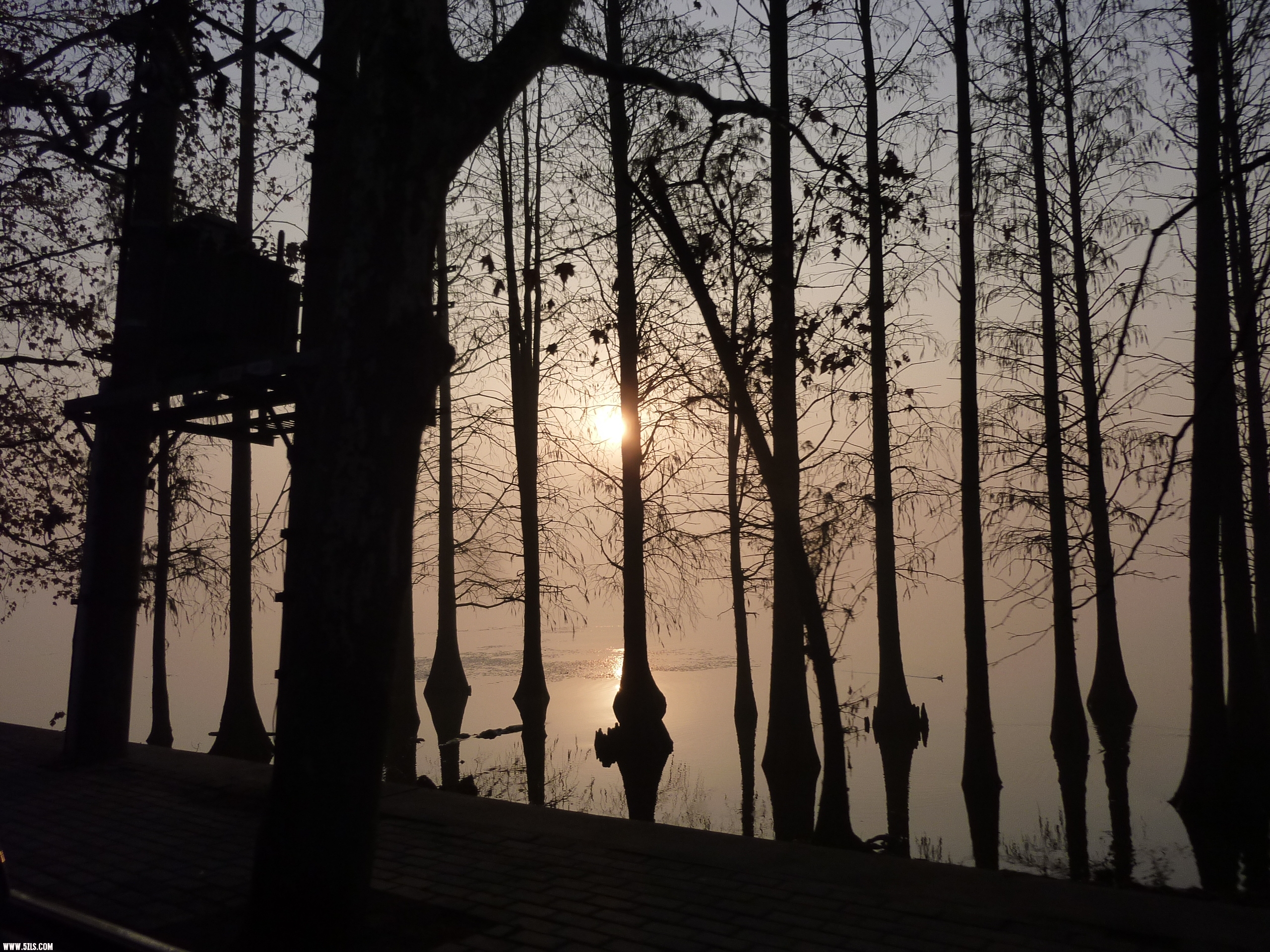 P1090414.JPG